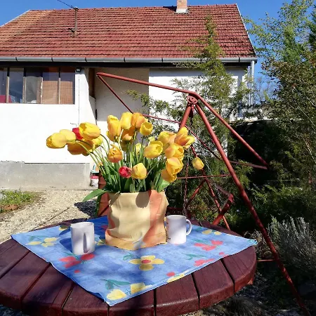 Erdei Haz * Miszkolc