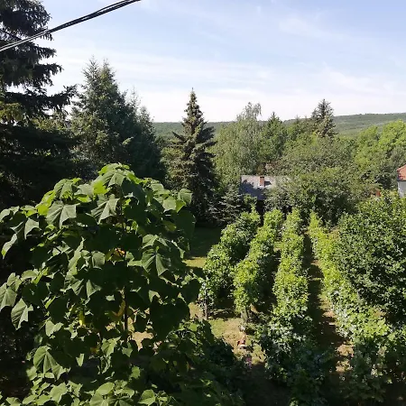 Dom wakacyjny Erdei Haz